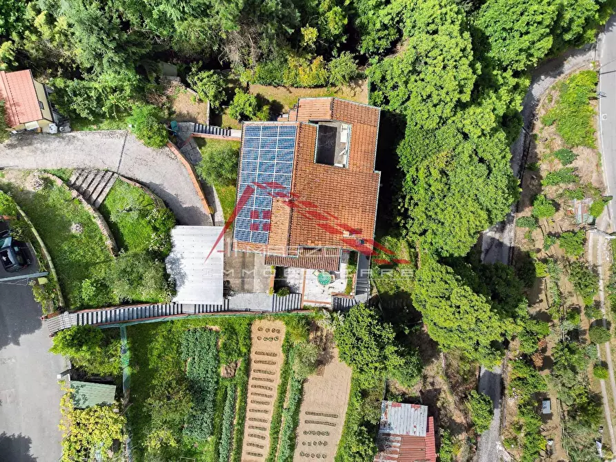 Immagine 27 di Villa in vendita  a Massa