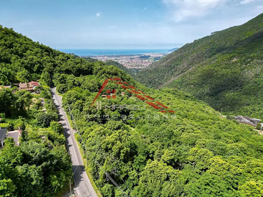 Immagine 30 di Villa in vendita  a Massa