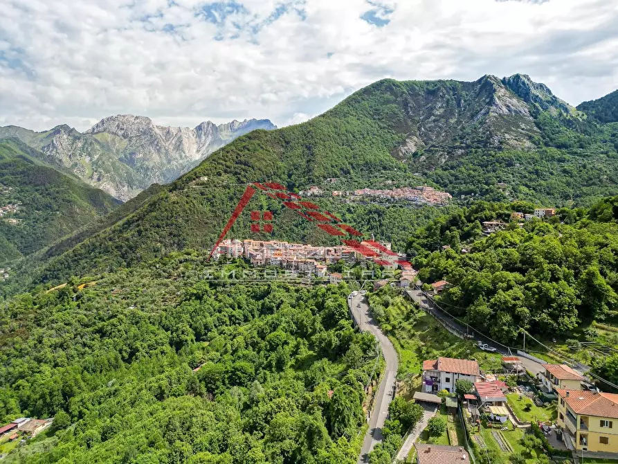 Immagine 31 di Villa in vendita  a Massa