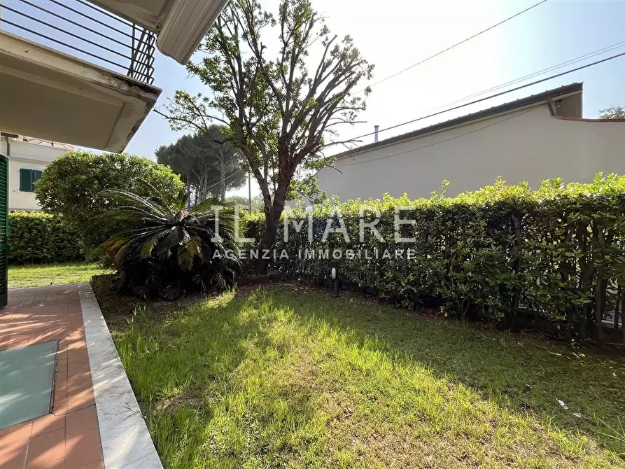 Immagine 4 di Appartamento in vendita  a Massa