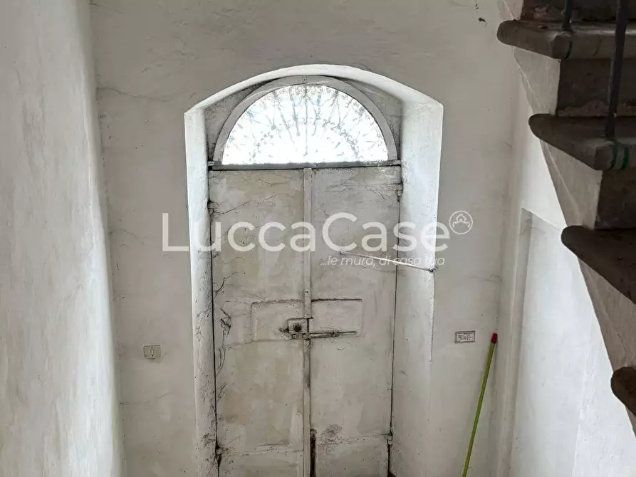 Immagine 6 di Appartamento in vendita  a Borgo A Mozzano