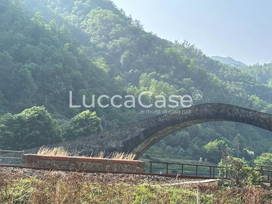 Immagine 3 di Appartamento in vendita  a Borgo A Mozzano