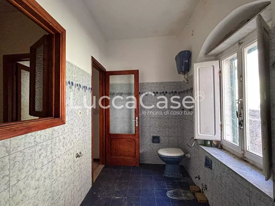 Immagine 24 di Appartamento in vendita  a Borgo A Mozzano