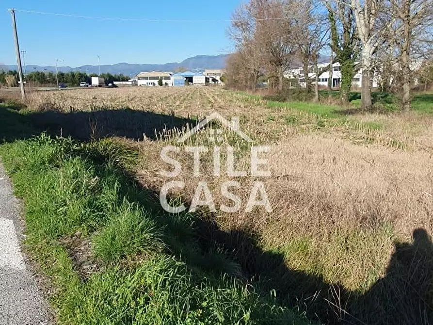 Immagine 4 di Terreno industriale in vendita  a Capannori