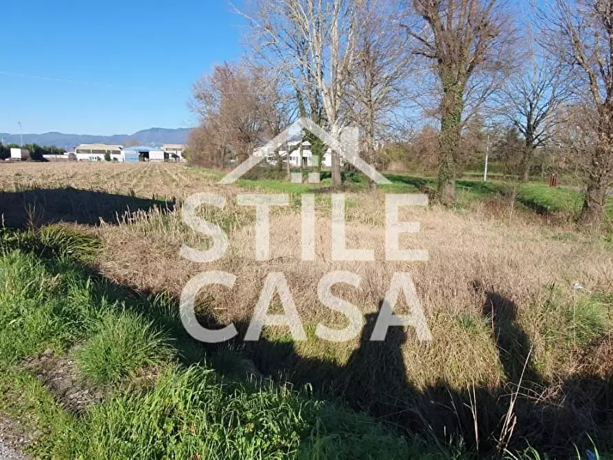 Immagine 3 di Terreno industriale in vendita  a Capannori
