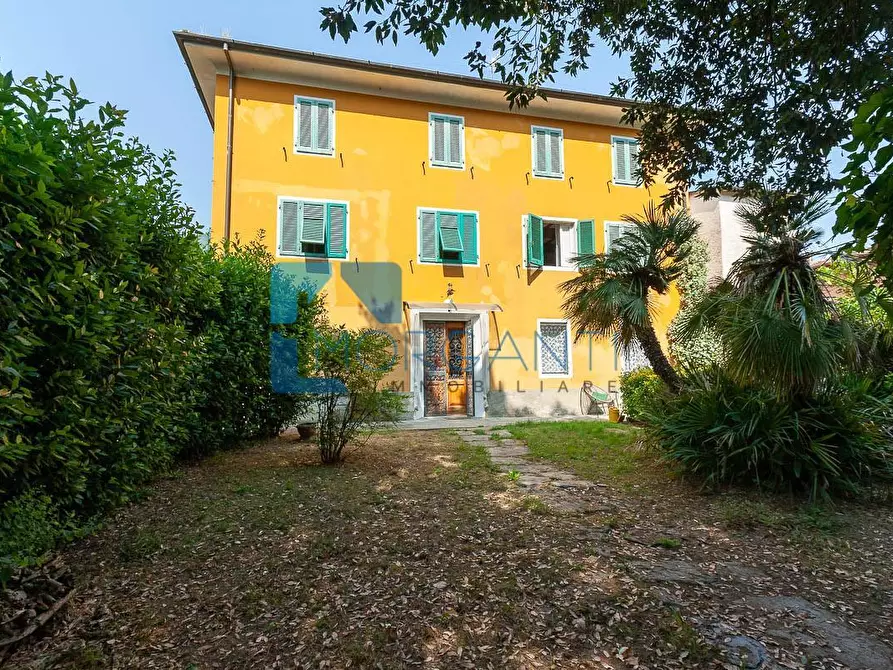 Immagine 2 di Rustico / casale in vendita  a Camaiore