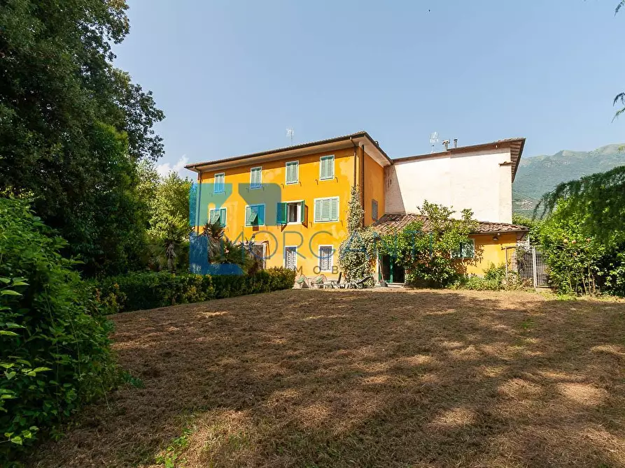 Immagine 5 di Rustico / casale in vendita  a Camaiore