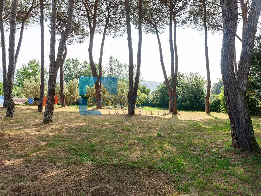 Immagine 7 di Rustico / casale in vendita  a Camaiore