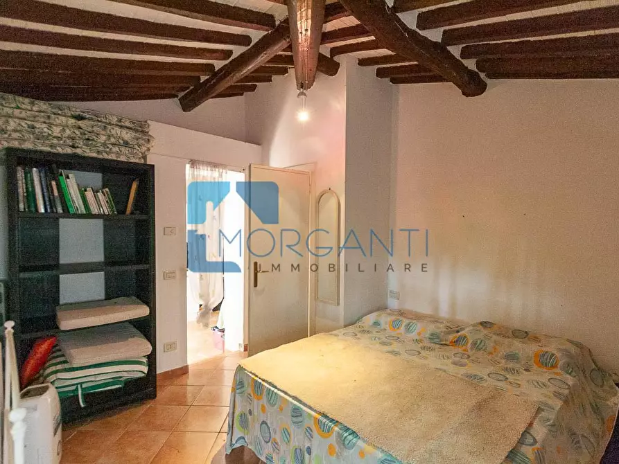 Immagine 32 di Rustico / casale in vendita  a Camaiore