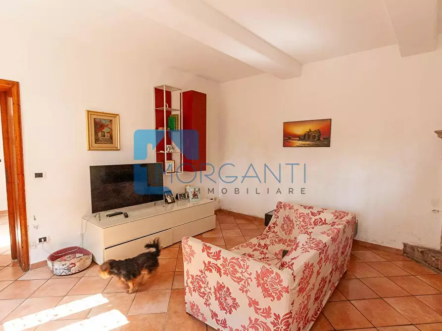 Immagine 16 di Rustico / casale in vendita  a Camaiore