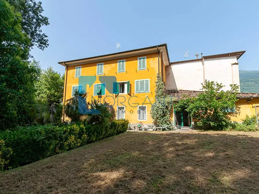 Immagine 4 di Rustico / casale in vendita  a Camaiore