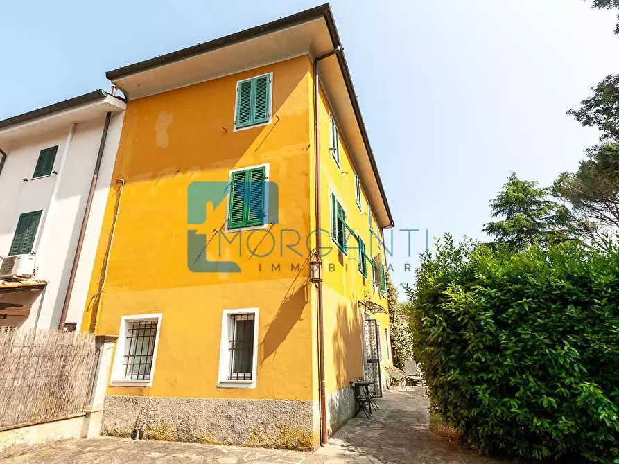 Immagine 13 di Rustico / casale in vendita  a Camaiore