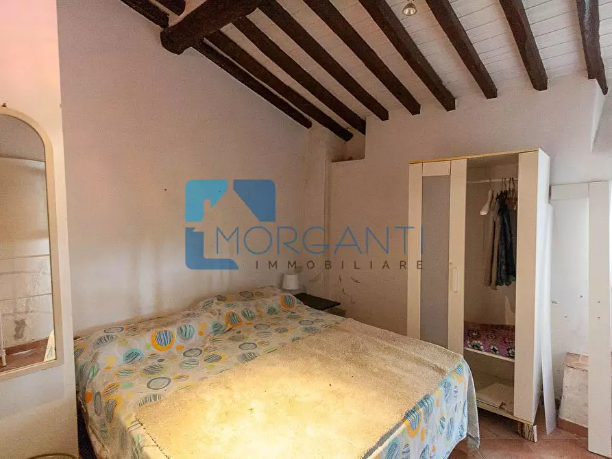 Immagine 31 di Rustico / casale in vendita  a Camaiore