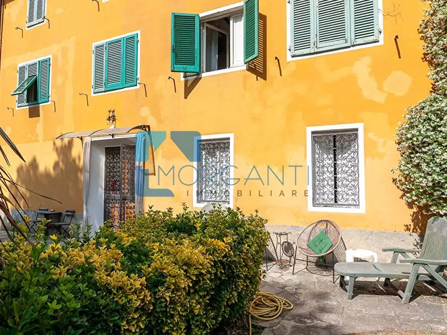 Immagine 3 di Rustico / casale in vendita  a Camaiore