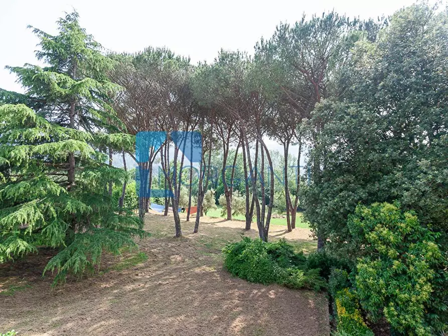 Immagine 8 di Rustico / casale in vendita  a Camaiore