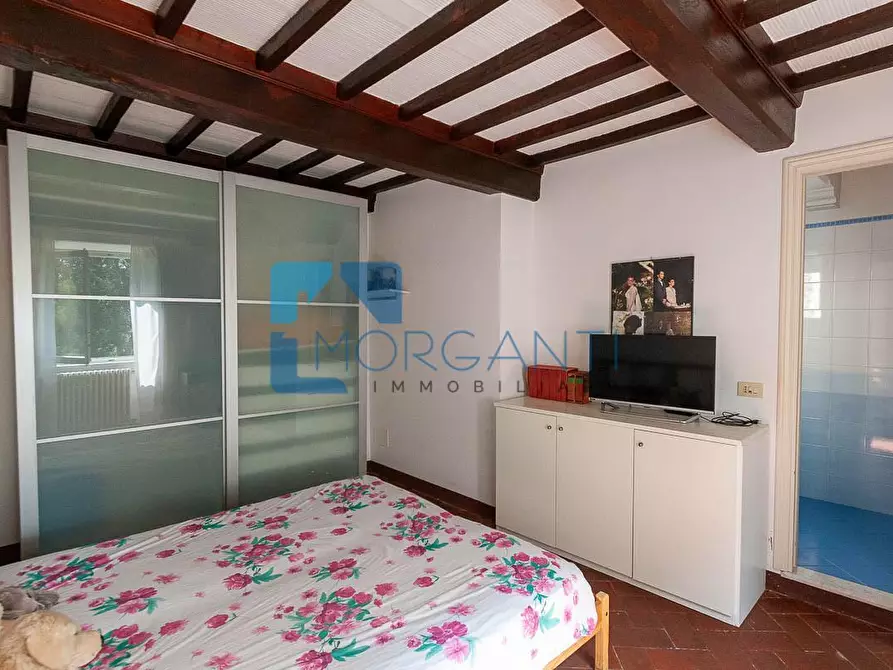 Immagine 17 di Rustico / casale in vendita  a Camaiore