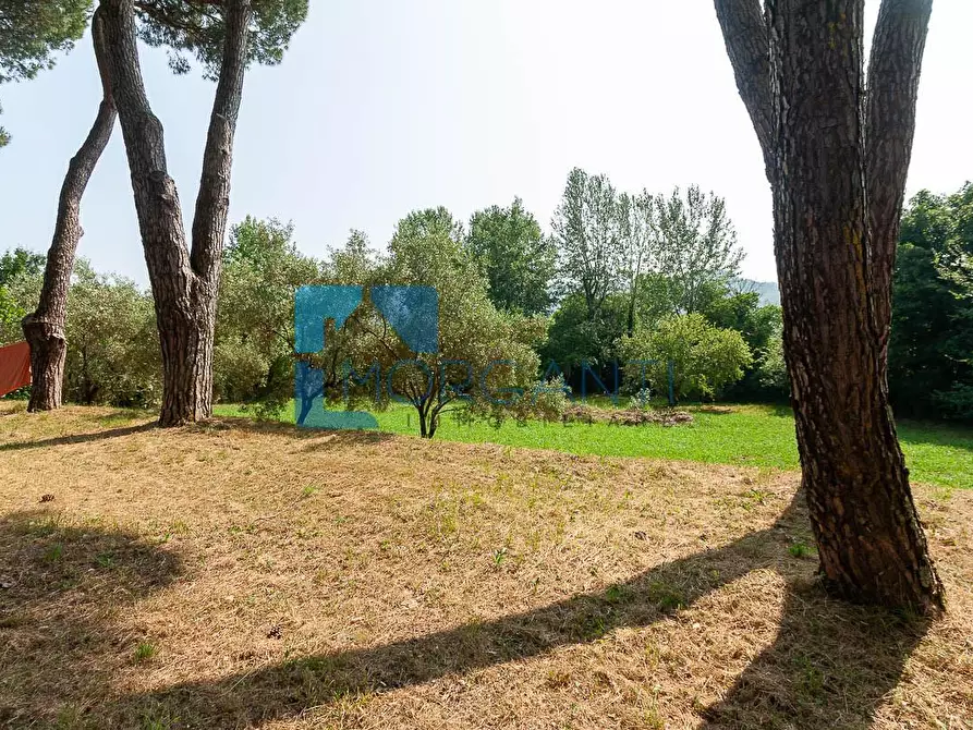 Immagine 11 di Rustico / casale in vendita  a Camaiore