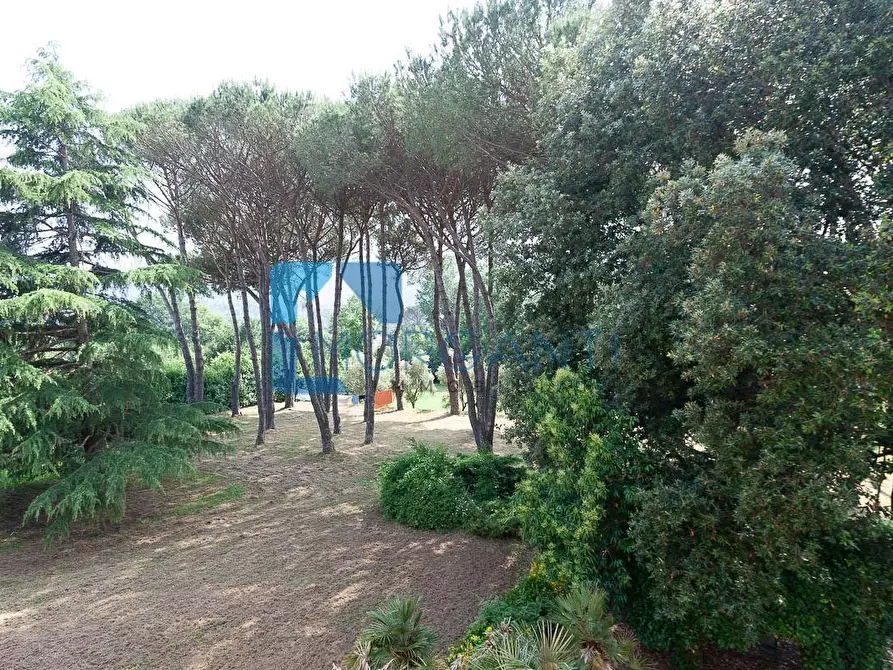 Immagine 9 di Rustico / casale in vendita  a Camaiore