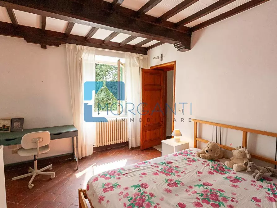 Immagine 19 di Rustico / casale in vendita  a Camaiore