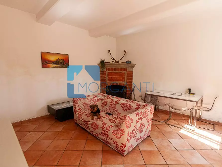 Immagine 15 di Rustico / casale in vendita  a Camaiore