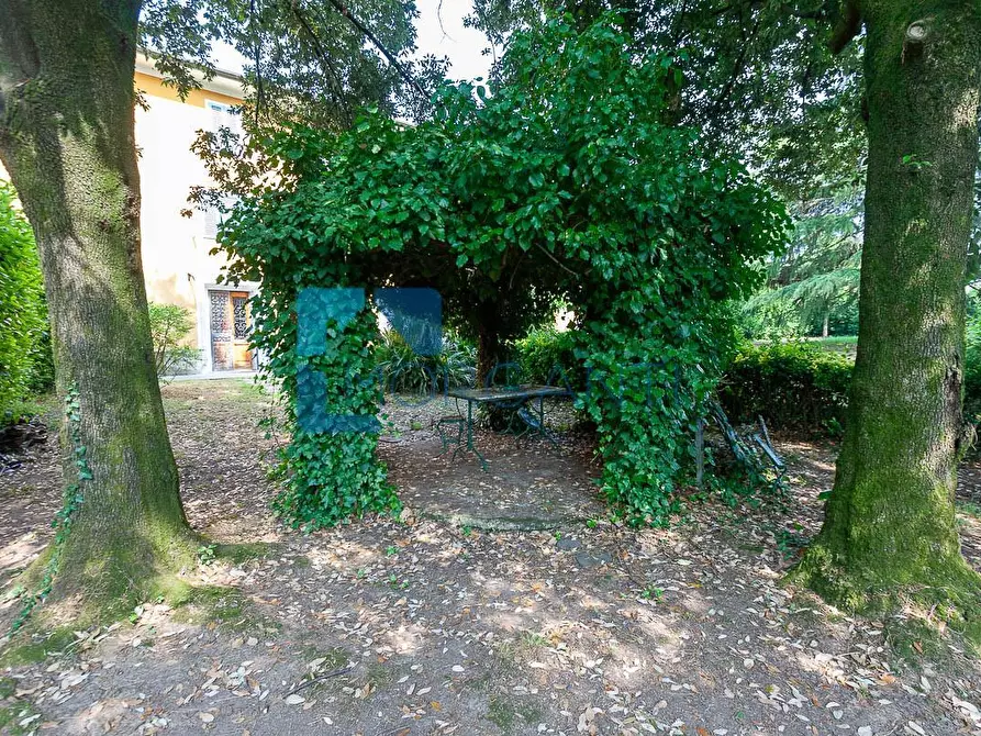 Immagine 12 di Rustico / casale in vendita  a Camaiore