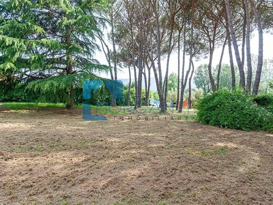 Immagine 10 di Rustico / casale in vendita  a Camaiore