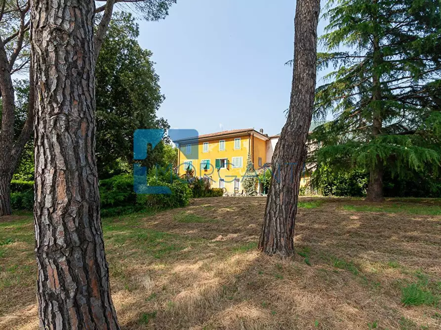 Immagine 6 di Rustico / casale in vendita  a Camaiore