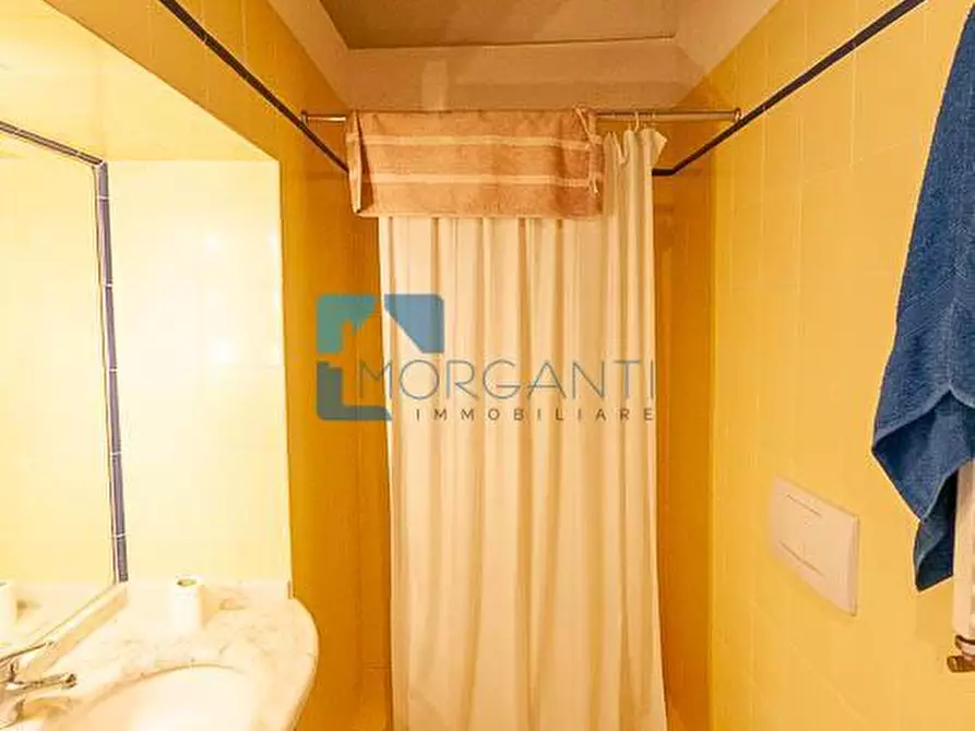 Immagine 30 di Rustico / casale in vendita  a Camaiore