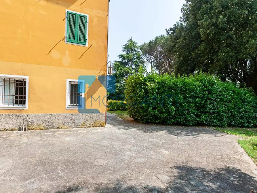 Immagine 14 di Rustico / casale in vendita  a Camaiore