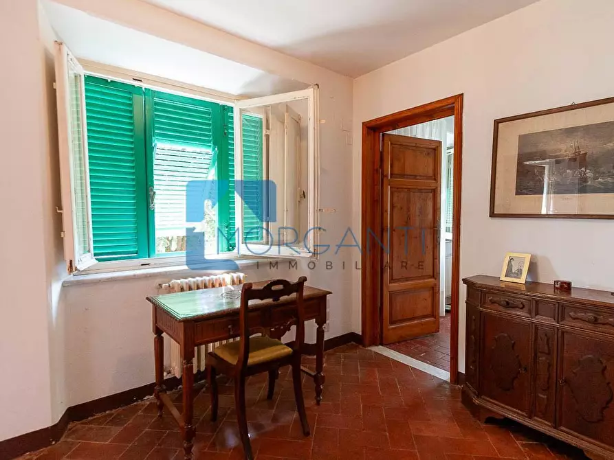 Immagine 21 di Rustico / casale in vendita  a Camaiore