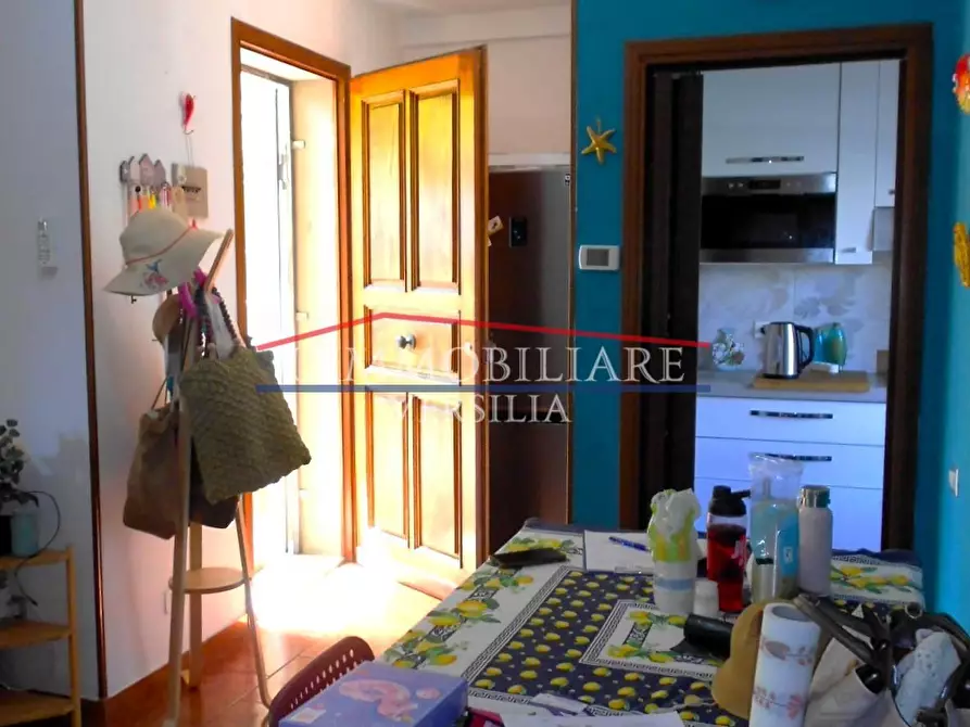 Immagine 63 di Villetta a schiera in vendita  a Massa