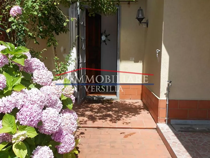 Immagine 2 di Villetta a schiera in vendita  a Massa