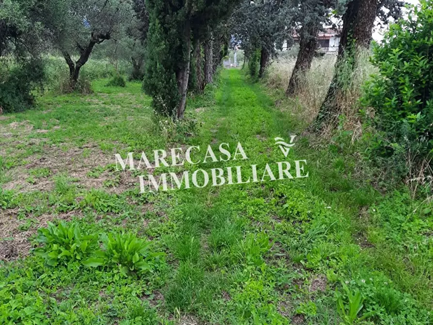 Immagine 4 di Casa indipendente in vendita  a Sarzana