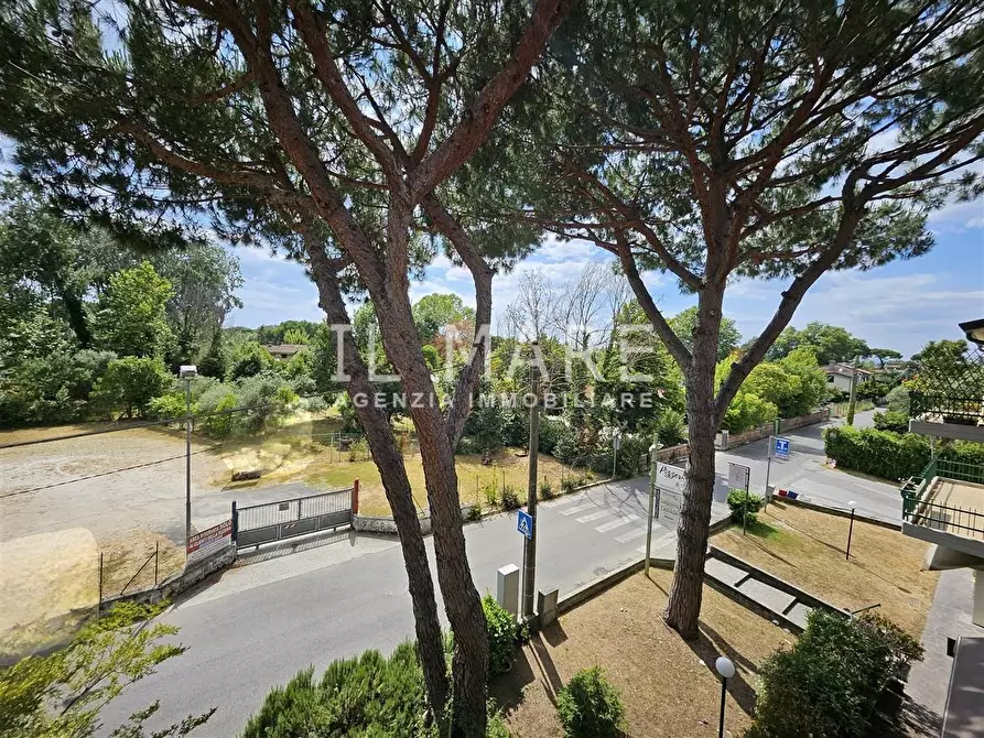 Immagine 22 di Appartamento in vendita  a Massa