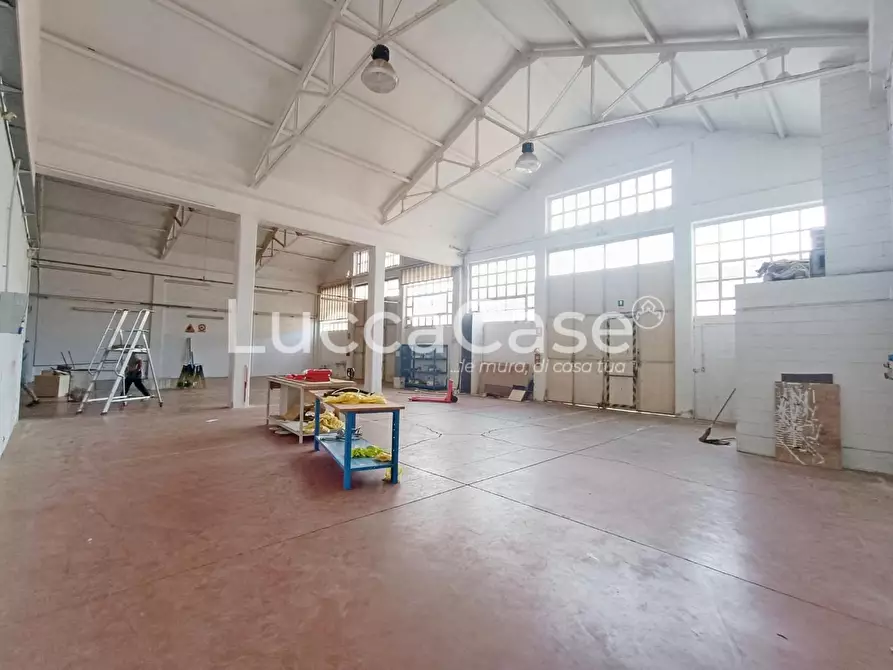 Immagine 4 di Capannone industriale in affitto  a Massarosa
