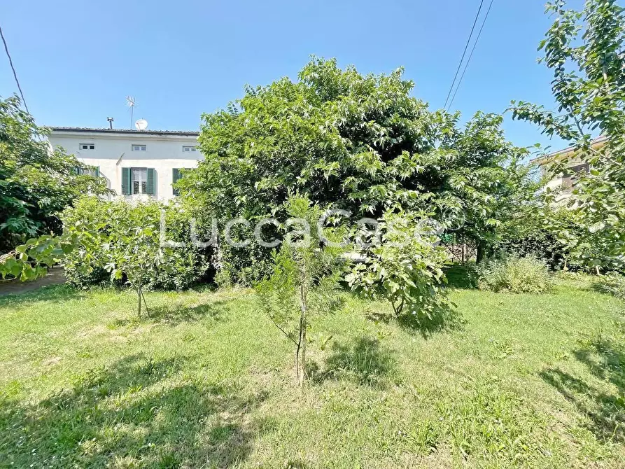 Immagine 50 di Casa indipendente in vendita  a Capannori