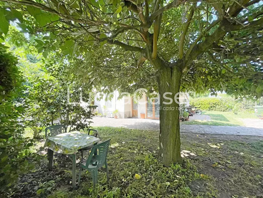 Immagine 46 di Casa indipendente in vendita  a Capannori