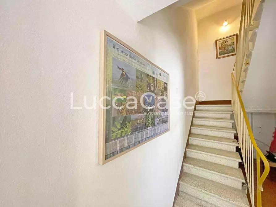 Immagine 9 di Casa indipendente in vendita  a Capannori