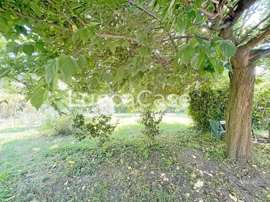 Immagine 24 di Casa indipendente in vendita  a Capannori