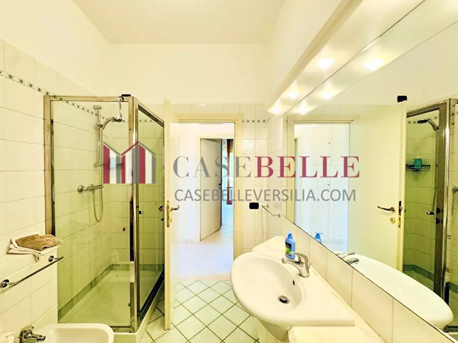 Immagine 20 di Appartamento in affitto  a Camaiore