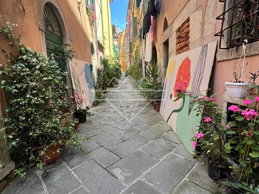 Immagine 31 di Terratetto in affitto  a Carrara