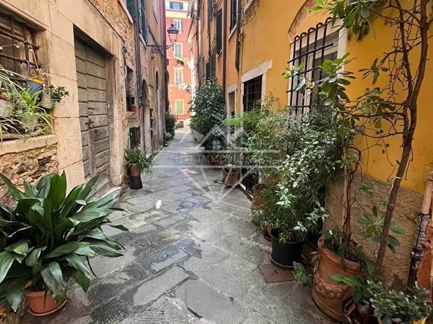 Immagine 7 di Terratetto in affitto  a Carrara