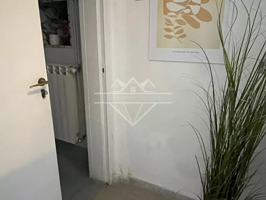 Immagine 25 di Terratetto in affitto  a Carrara