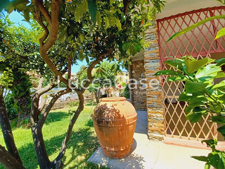 Immagine 3 di Villetta a schiera in vendita  a Massarosa