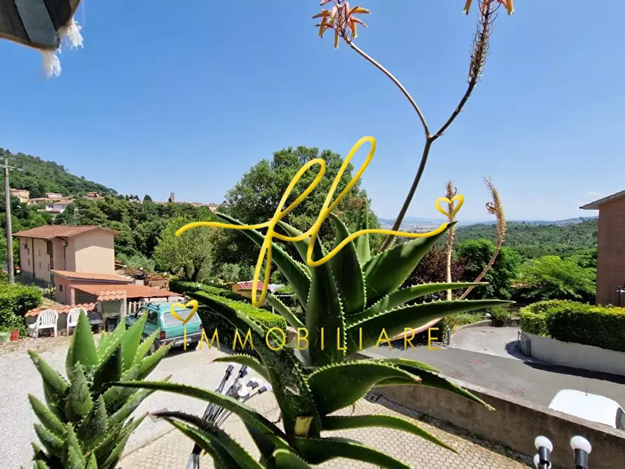 Immagine 16 di Villetta a schiera in vendita  a Rosignano Marittimo