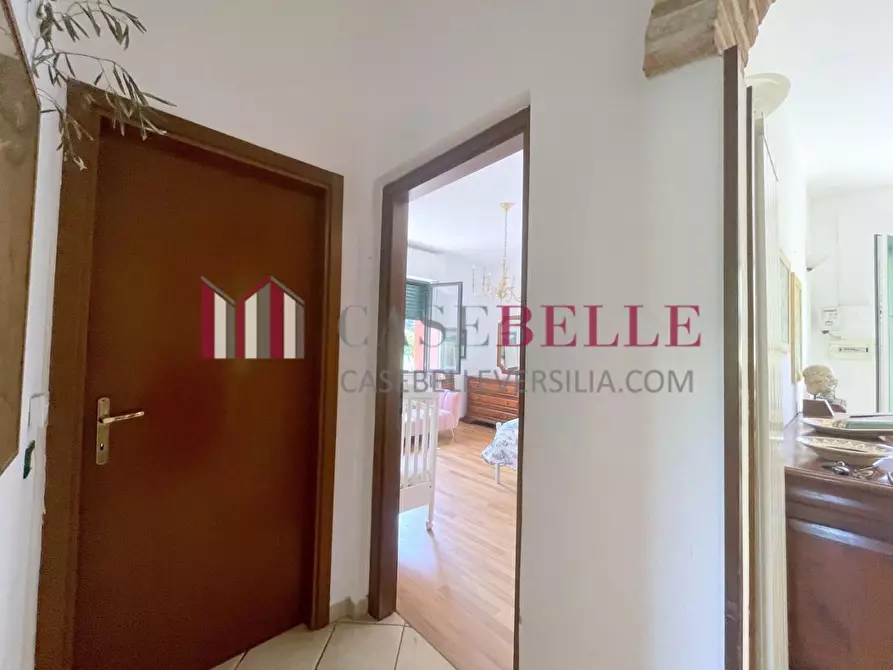 Immagine 17 di Casa indipendente in vendita  a Camaiore