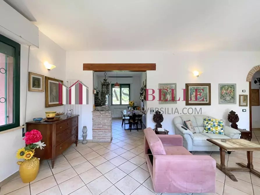 Immagine 3 di Casa indipendente in vendita  a Camaiore