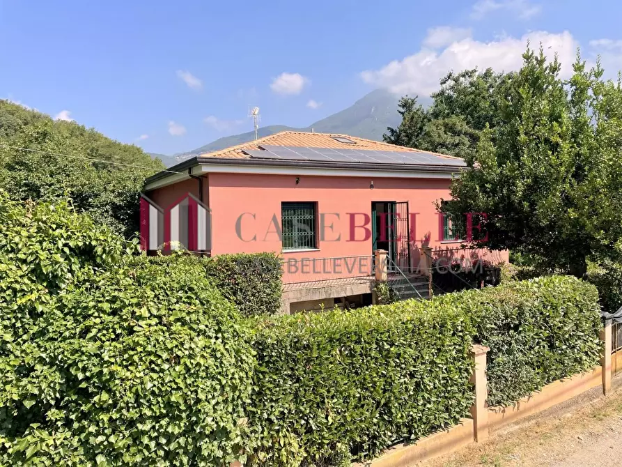 Immagine 31 di Casa indipendente in vendita  a Camaiore