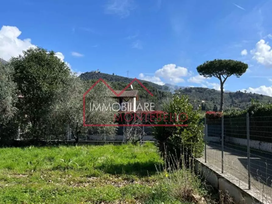 Immagine 7 di Rustico / casale in vendita  a Camaiore