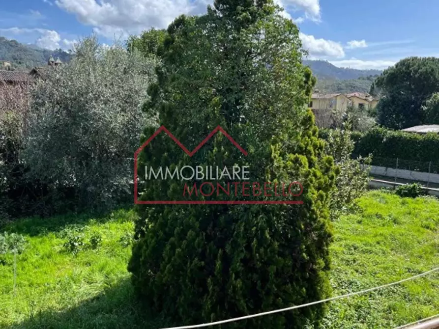 Immagine 4 di Rustico / casale in vendita  a Camaiore